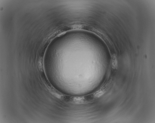 X0000073760573200608171359