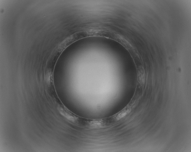 X0000073760574200608171359