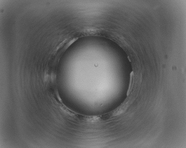 X0000073760576200608171359