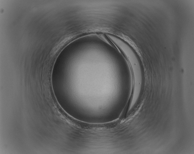 X0000073760577200608171359