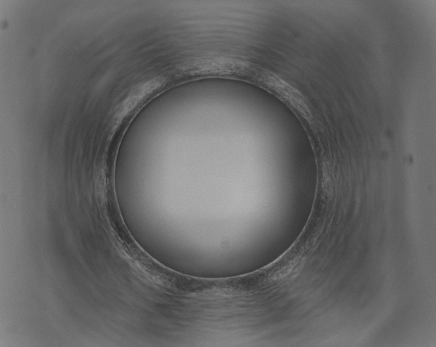 X0000073760578200608171359