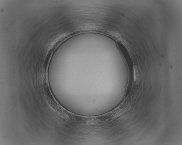 X0000073760579200608171358