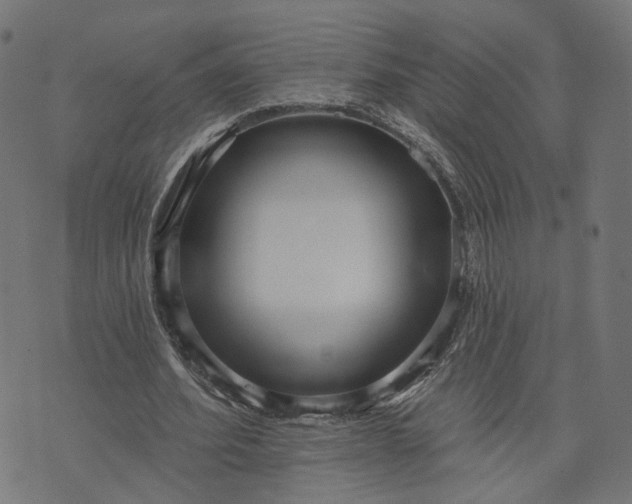 X0000073760580200608171358