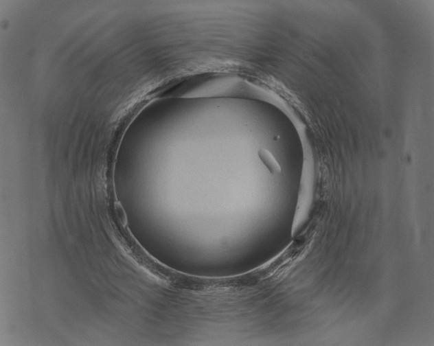 X0000073760581200608171358