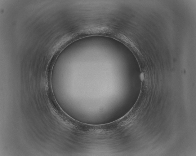 X0000073760582200608171358