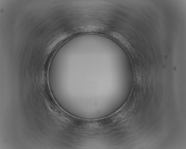 X0000073760583200608171358