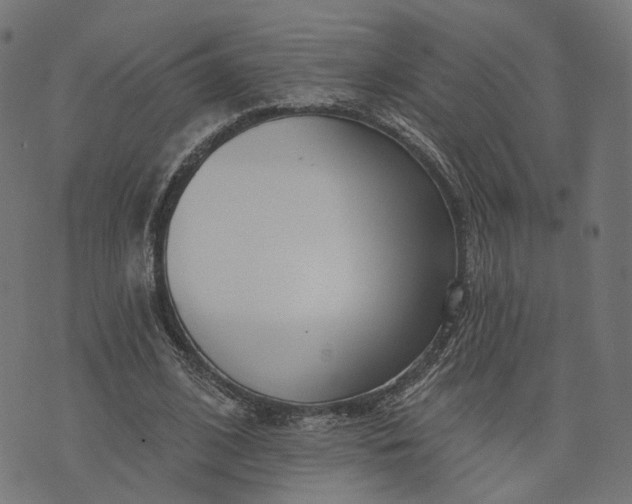 X0000073760584200608171358