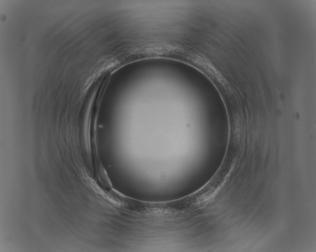 X0000073760585200608171358