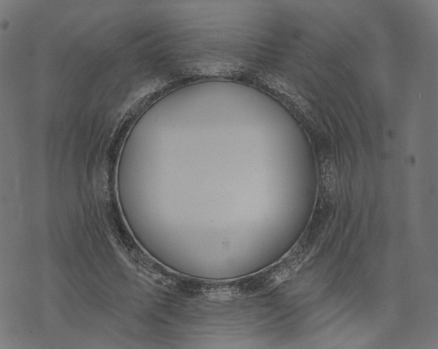 X0000073760587200608171358