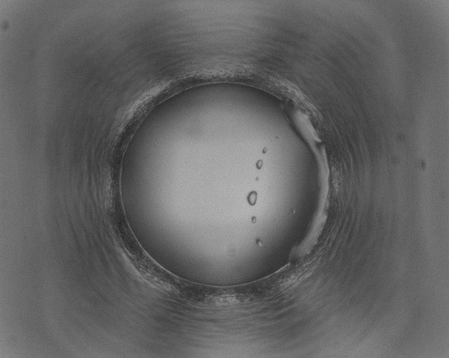 X0000073760588200608171358