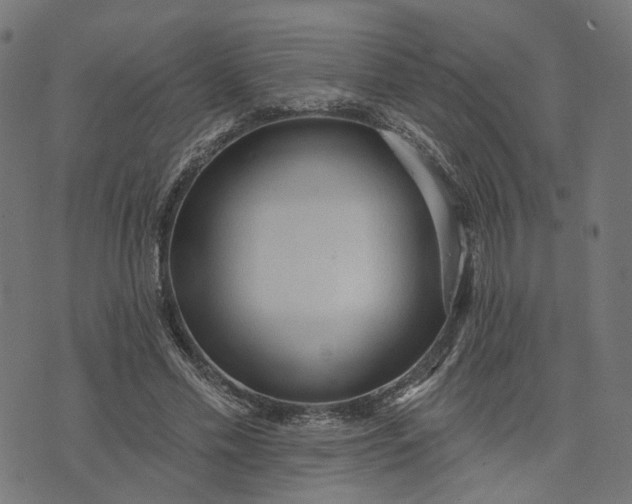 X0000073760589200608171358