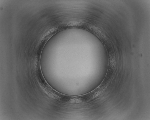 X0000073760591200608171358