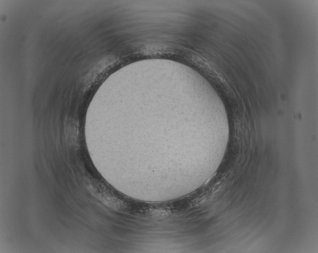 X0000073760592200608171358