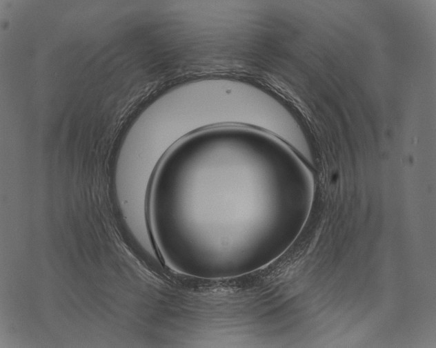 X0000073760593200608171358