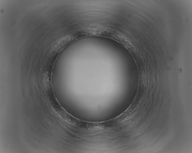 X0000073760594200608171358