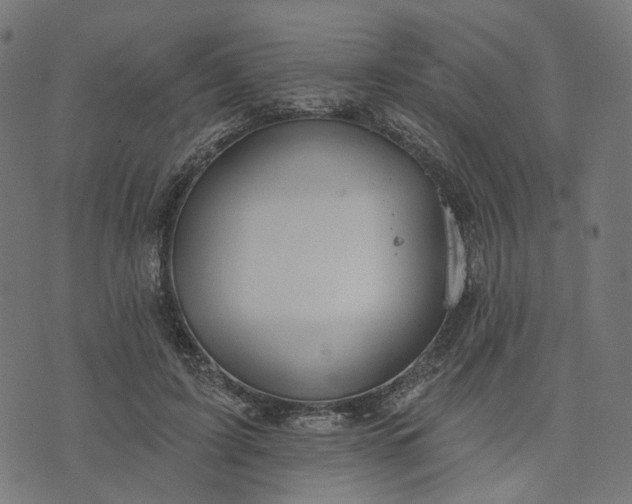 X0000073760595200608171358