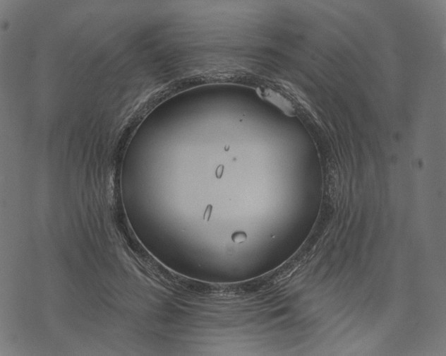 X0000073760596200608171358