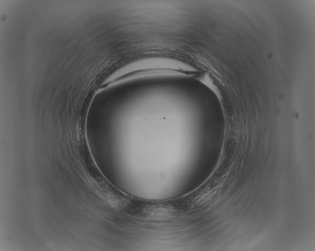 X0000073760597200608171358