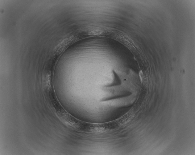 X0000073760598200608171358