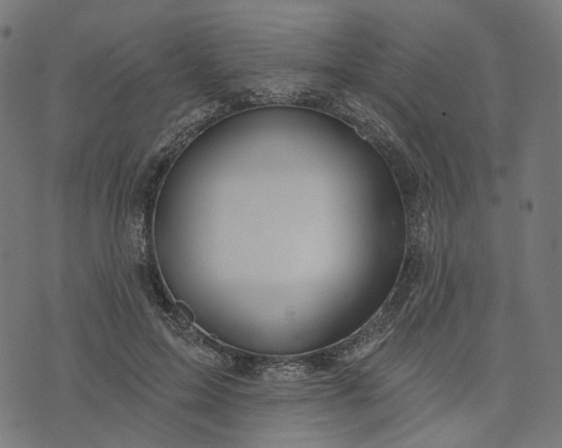 X0000073760599200608171358