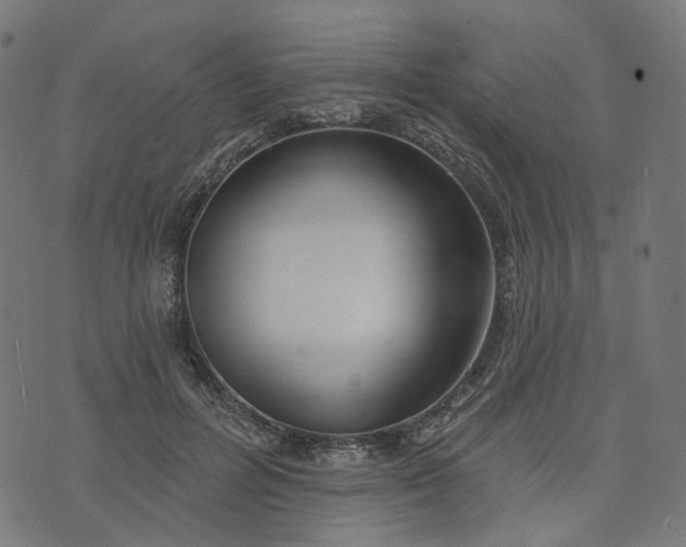 X0000073760600200608171358