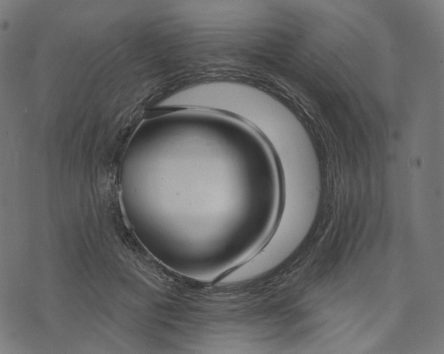 X0000073760601200608171358