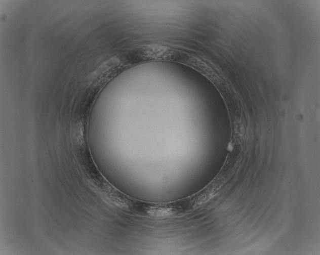 X0000073760602200608171358