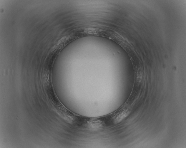 X0000073760603200608171358