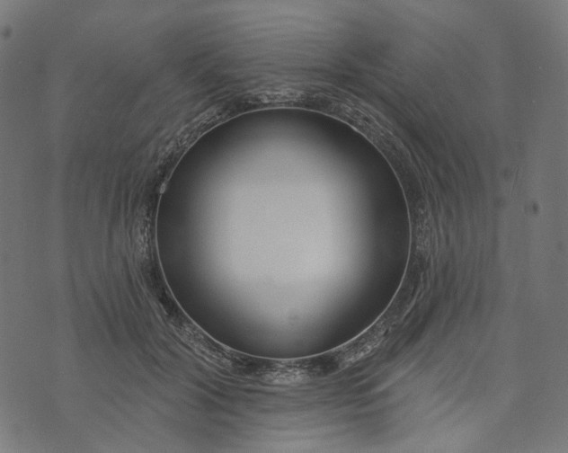 X0000073760604200608171358