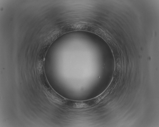 X0000073760605200608171358