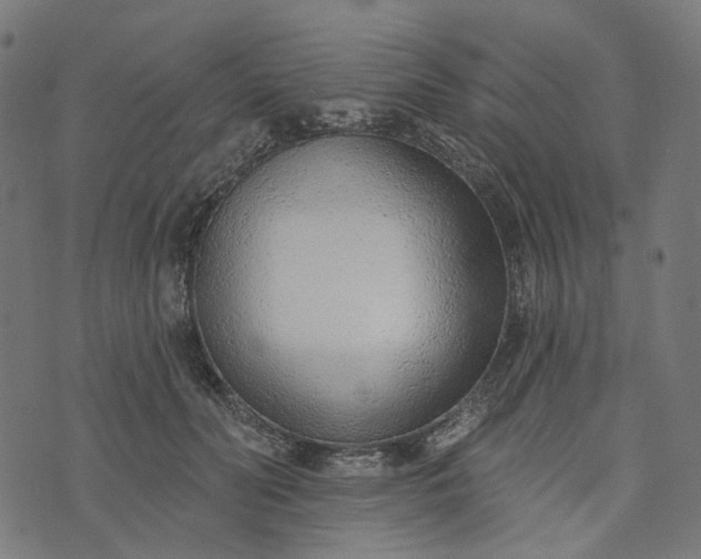 X0000073760606200608171358