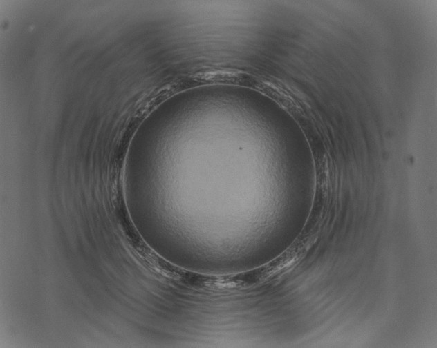 X0000073760607200608171358