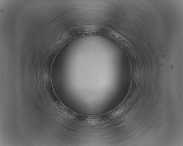 X0000073760608200608171358