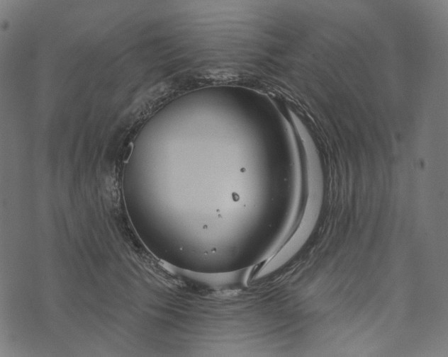 X0000073760609200608171358