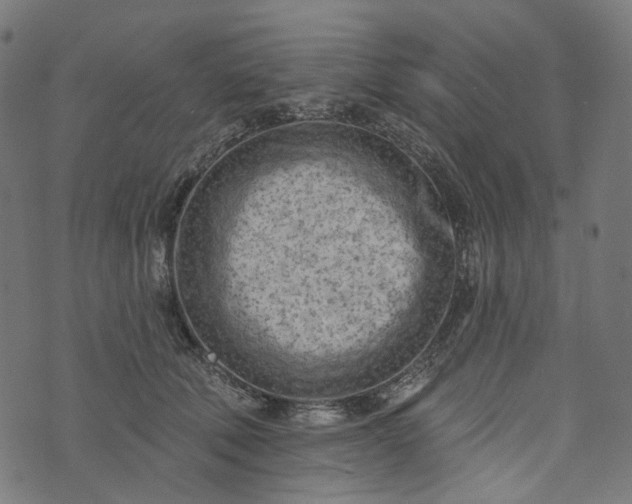 X0000073760610200608171358