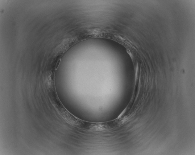 X0000073760611200608171358