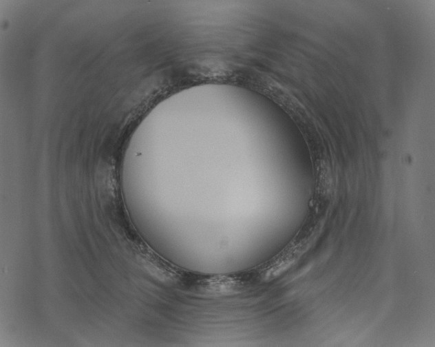 X0000073760612200608171358