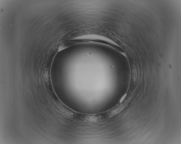 X0000073760613200608171358