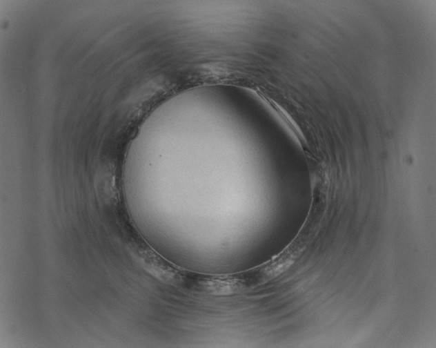 X0000073760615200608171358