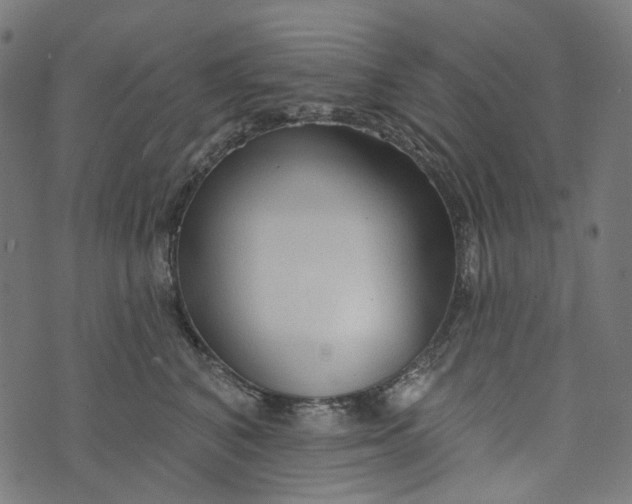 X0000073760616200608171358