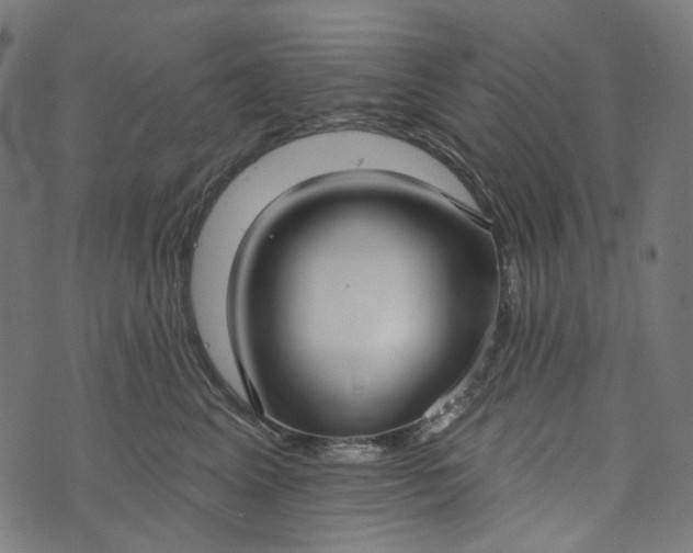 X0000073760617200608171358