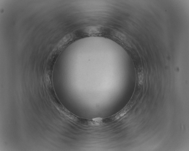 X0000073760618200608171358