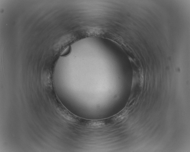 X0000073760619200608171358