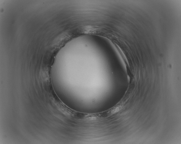 X0000073760620200608171358