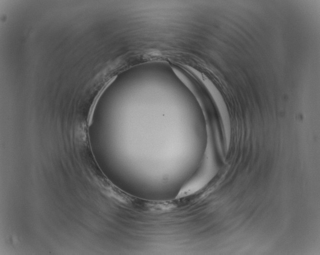 X0000073760621200608171358