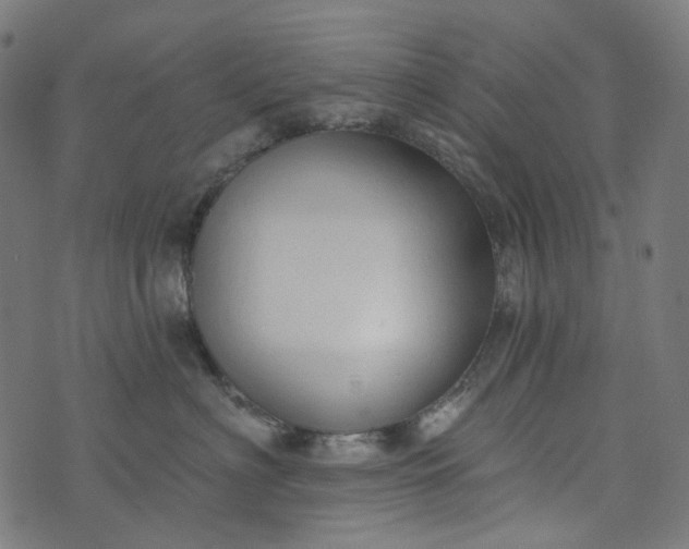 X0000073760622200608171358