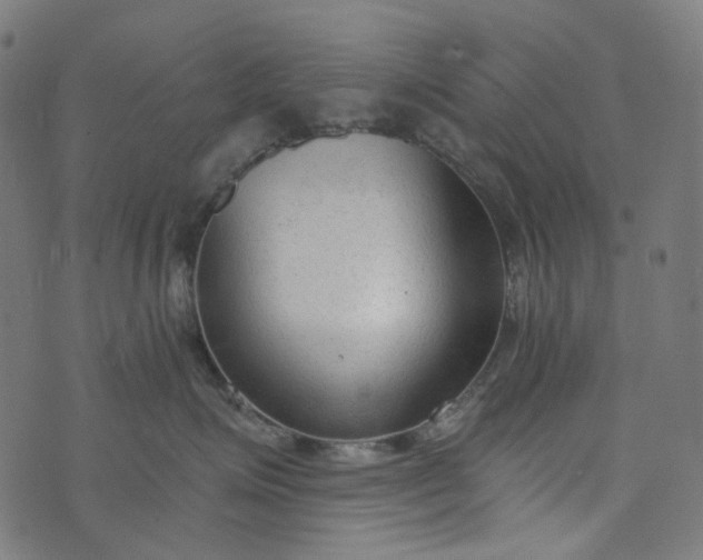 X0000073760623200608171358