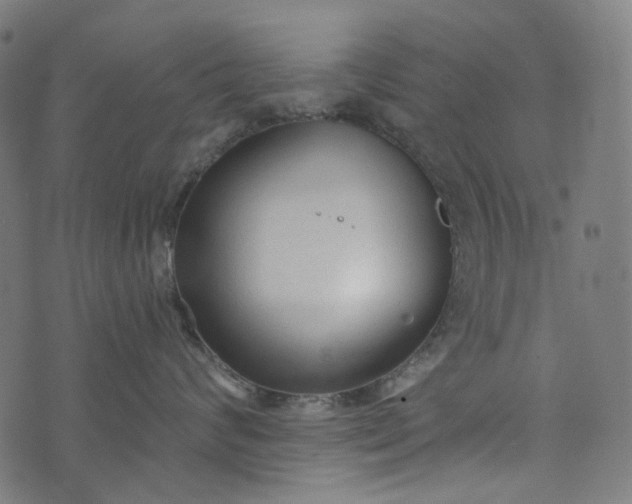 X0000073760624200608171358