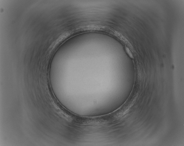 X0000073760625200608171357