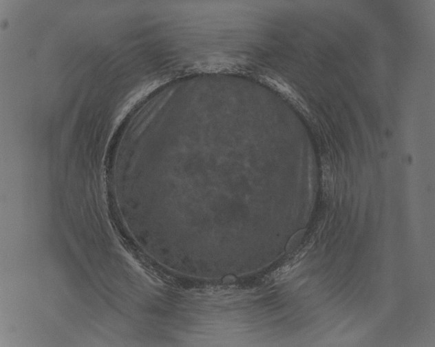 X0000073760626200608171357